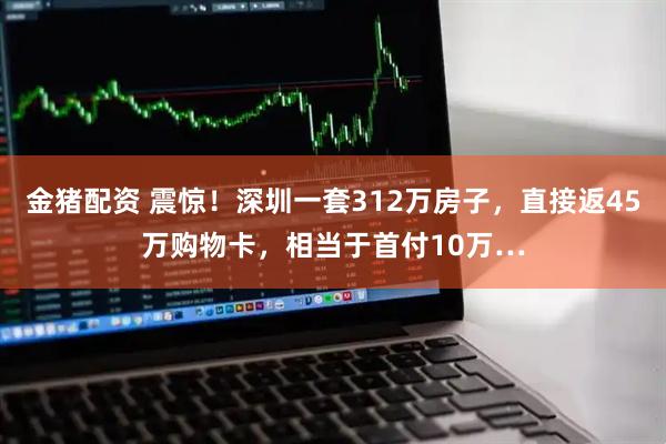 金猪配资 震惊！深圳一套312万房子，直接返45万购物卡，相当于首付10万…