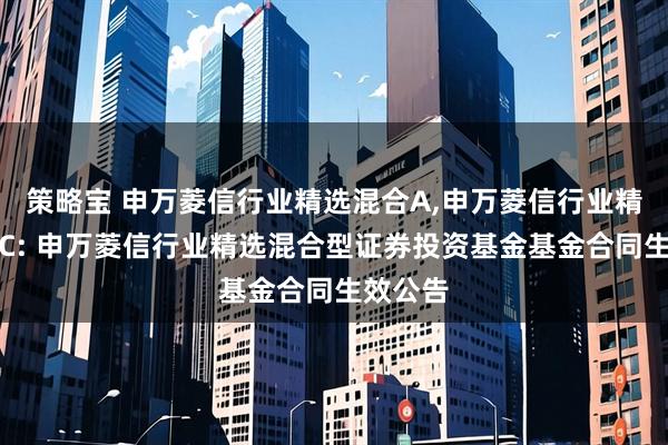 策略宝 申万菱信行业精选混合A,申万菱信行业精选混合C: 申万菱信行业精选混合型证券投资基金基金合同生效公告