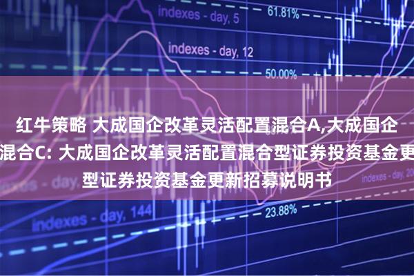 红牛策略 大成国企改革灵活配置混合A,大成国企改革灵活配置混合C: 大成国企改革灵活配置混合型证券投资基金更新招募说明书