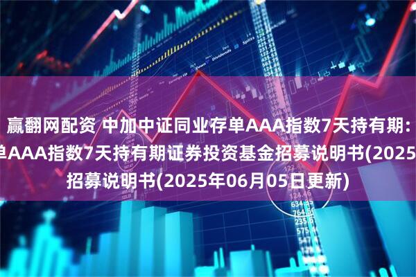 赢翻网配资 中加中证同业存单AAA指数7天持有期: 中加中证同业存单AAA指数7天持有期证券投资基金招募说明书(2025年06月05日更新)