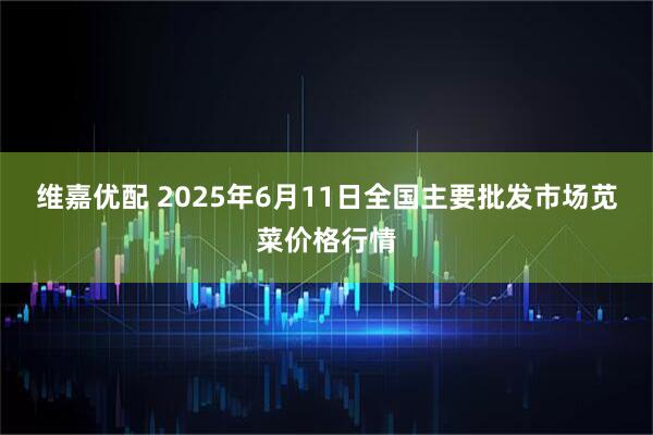 维嘉优配 2025年6月11日全国主要批发市场苋菜价格行情