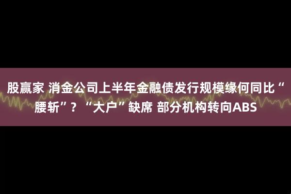 股赢家 消金公司上半年金融债发行规模缘何同比“腰斩”？“大户”缺席 部分机构转向ABS