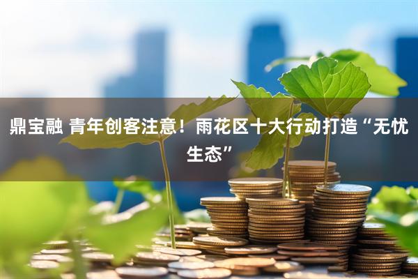 鼎宝融 青年创客注意!雨花区十大行动打造“无忧生态”
