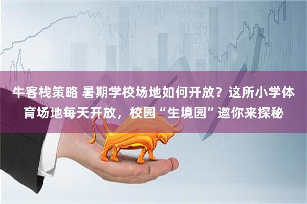 牛客栈策略 暑期学校场地如何开放？这所小学体育场地每天开放，校园“生境园”邀你来探秘