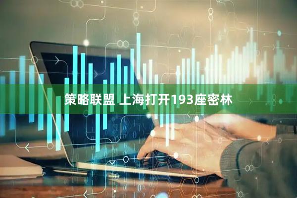 策略联盟 上海打开193座密林