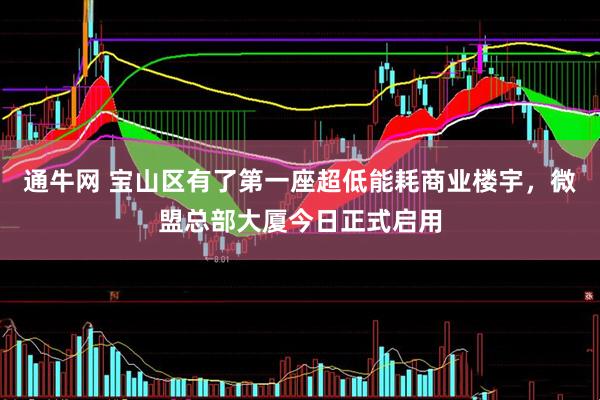通牛网 宝山区有了第一座超低能耗商业楼宇，微盟总部大厦今日正式启用