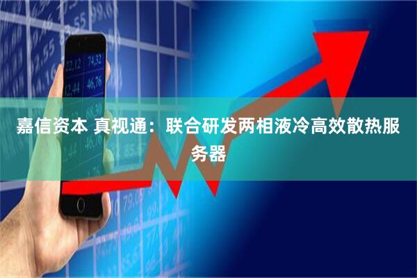 嘉信资本 真视通：联合研发两相液冷高效散热服务器