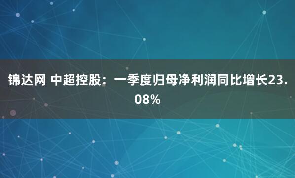 锦达网 中超控股：一季度归母净利润同比增长23.08%